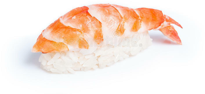Shrimp Nigiri
