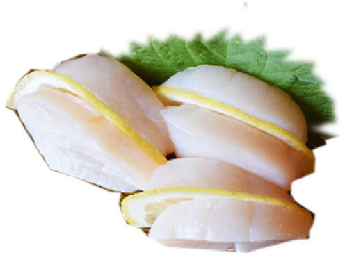 Whole Scallops Sashimi